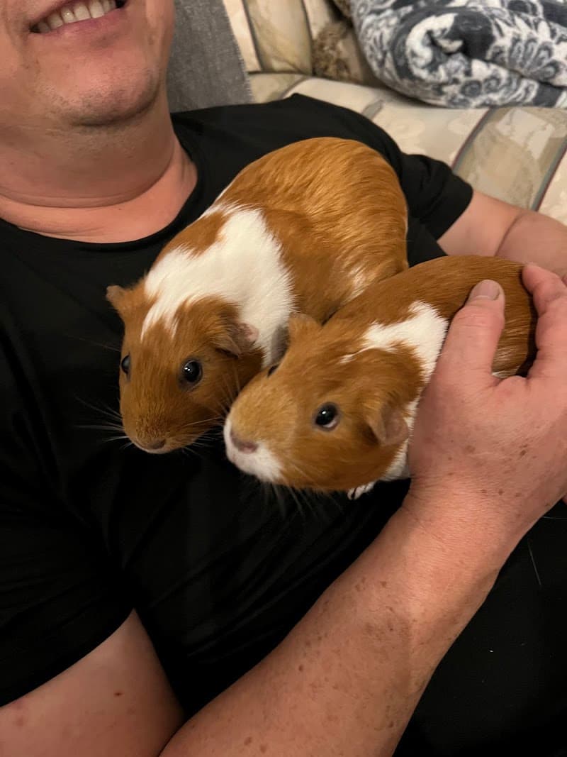 Wee Companions Small Animal Rescue