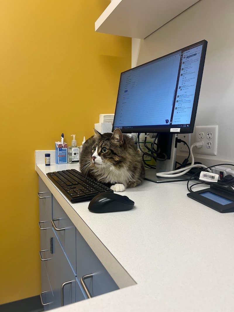 West Coast Animal Hospital