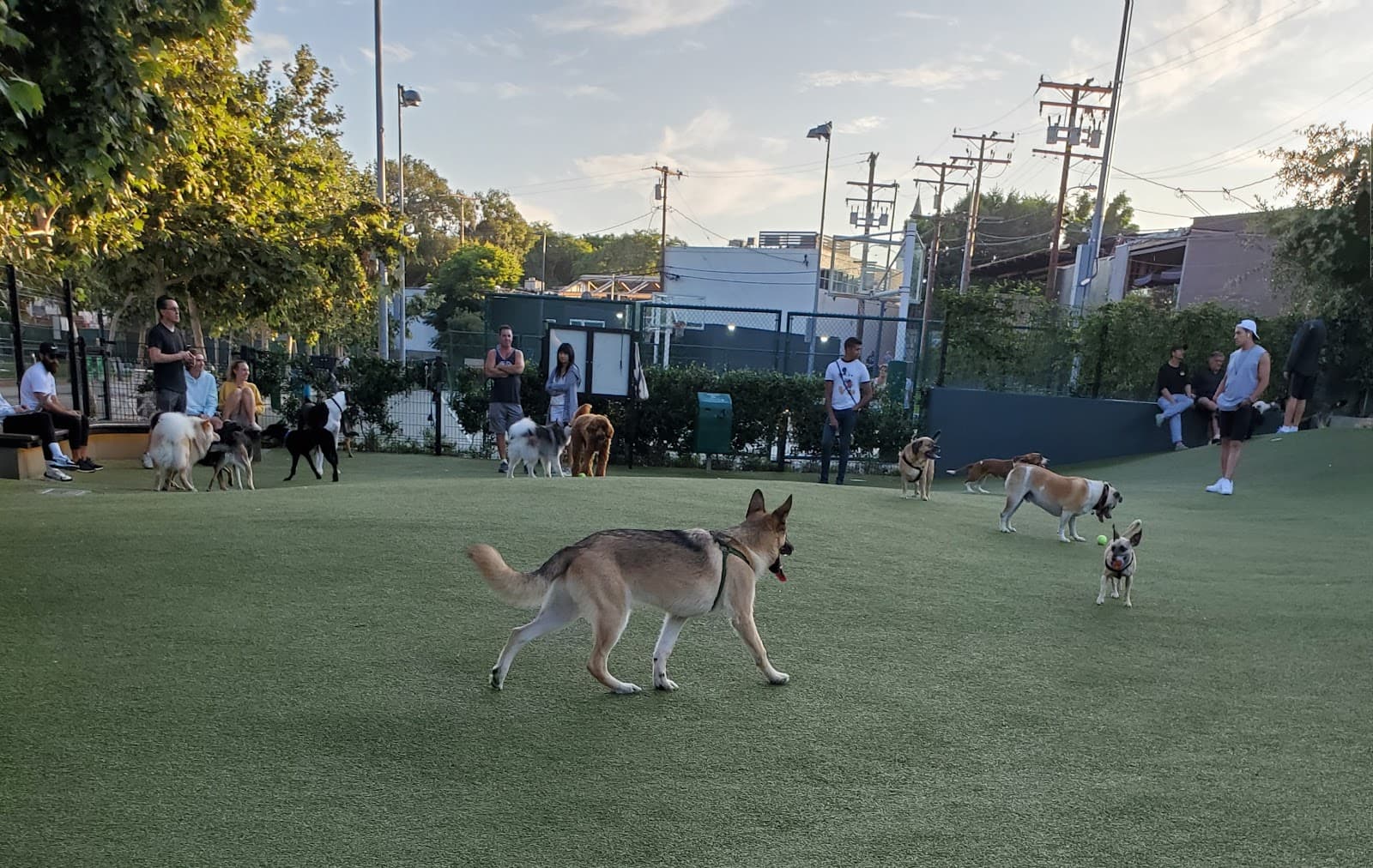 West Hollywood Park Dog Park