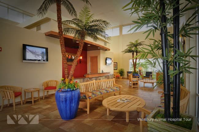 Westbury Animal Hospital