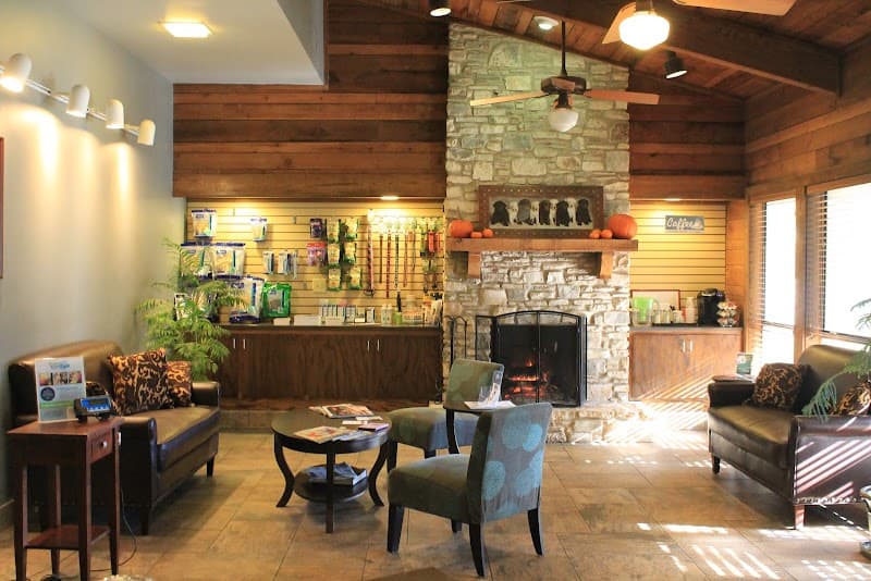 Westlake Animal Hospital, A Thrive Pet Healthcare Partner photo 3
