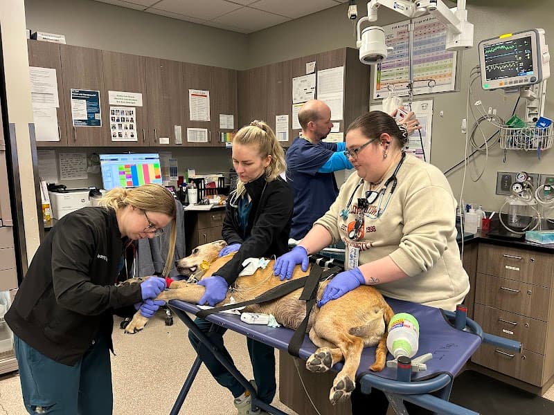 Wheat Ridge Animal Hospital photo 2