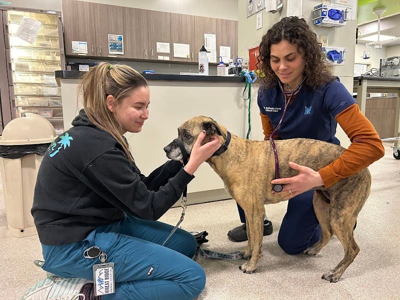 Wheat Ridge Animal Hospital photo 3