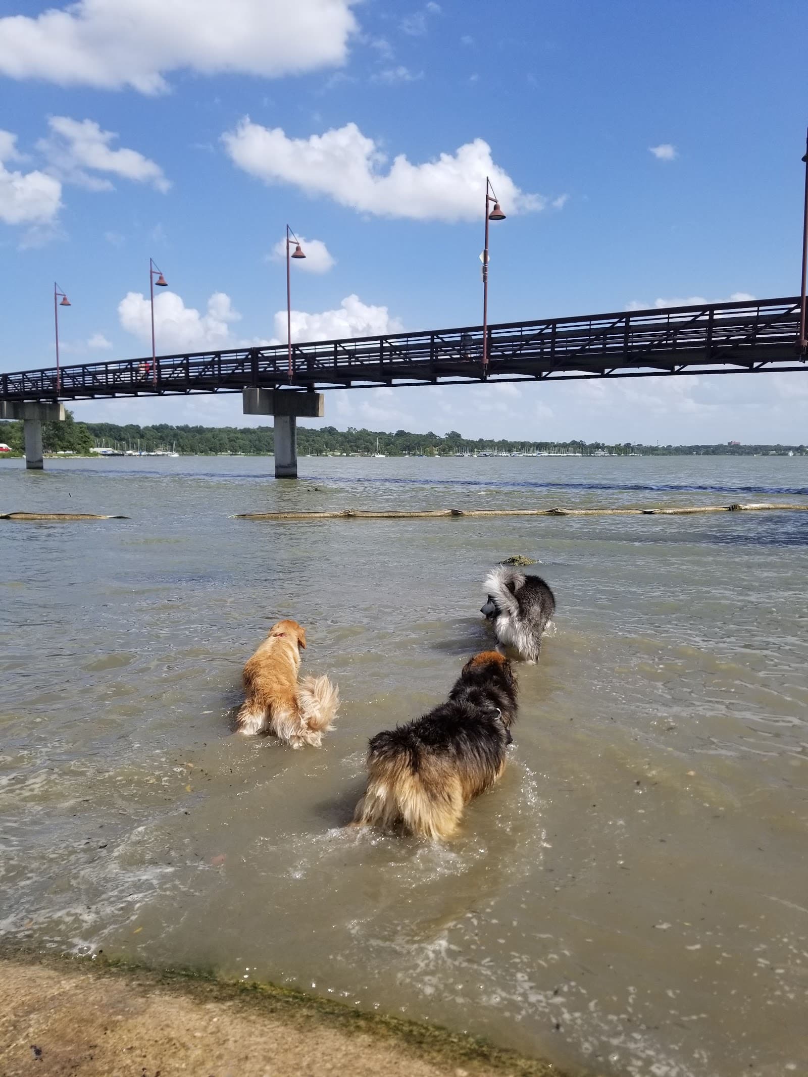White Rock Lake Dog Park