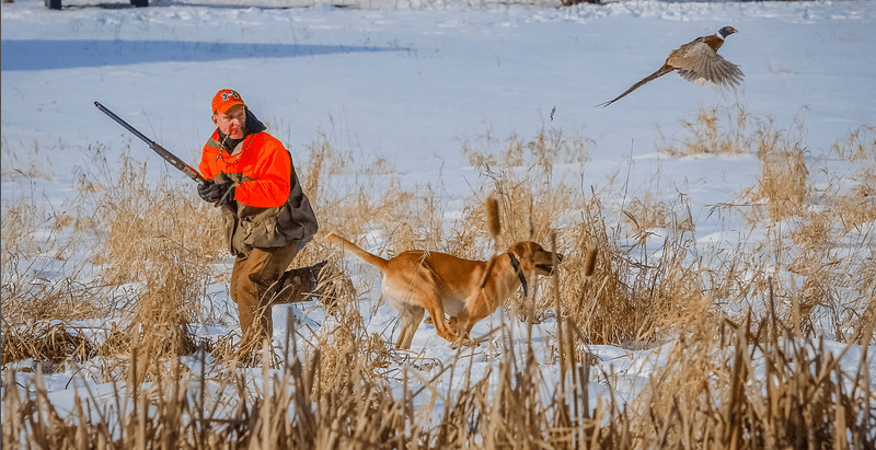 Whitewater Retrievers