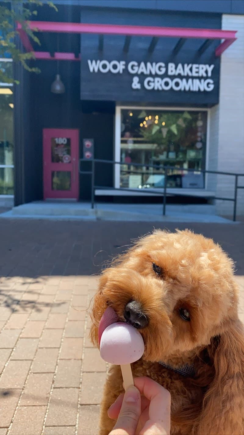 Woof Gang Bakery & Grooming Mueller photo 3
