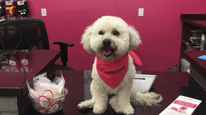 Woof Gang Bakery & Grooming West U