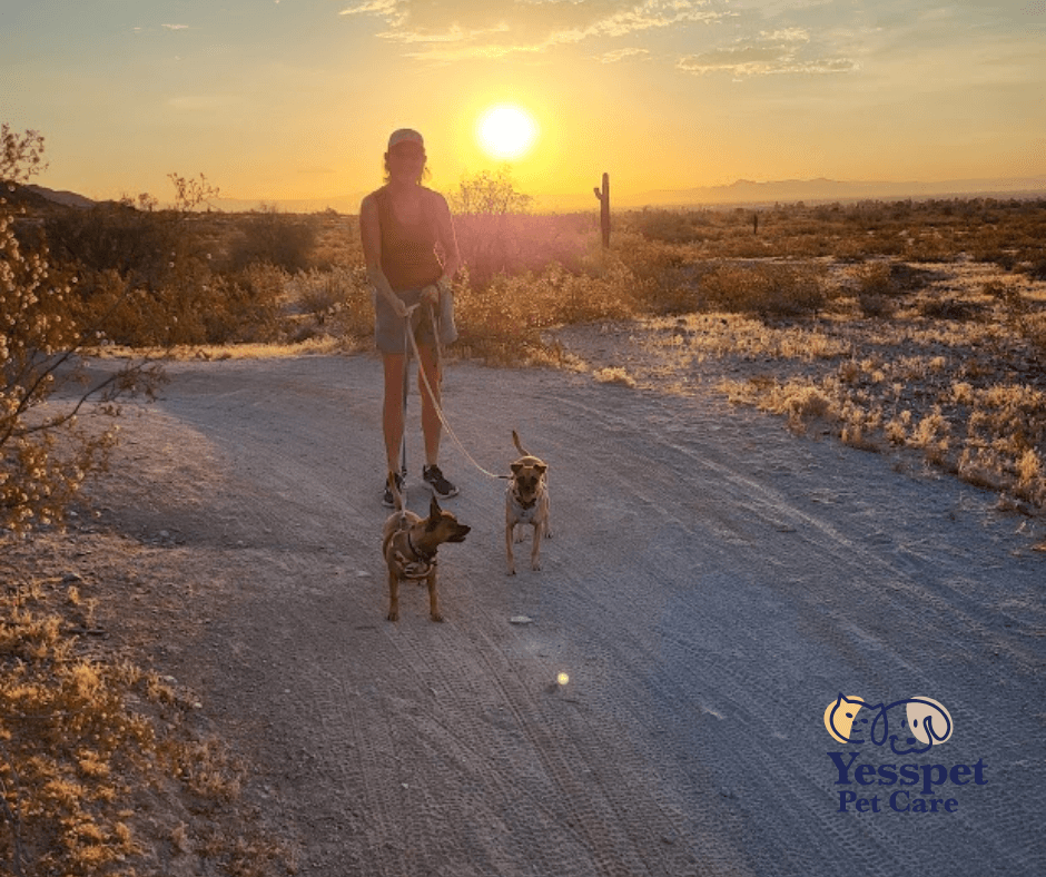 Yesspet Pet Care