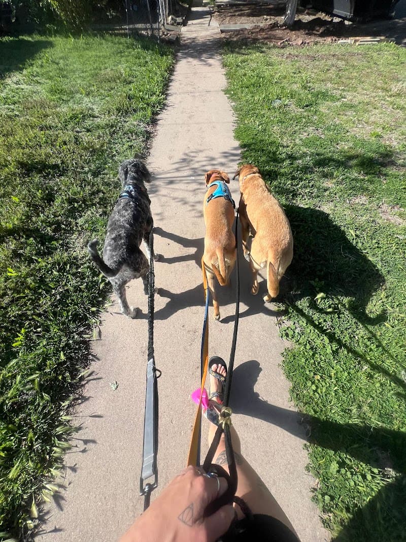 Your Denver Sitter photo 3
