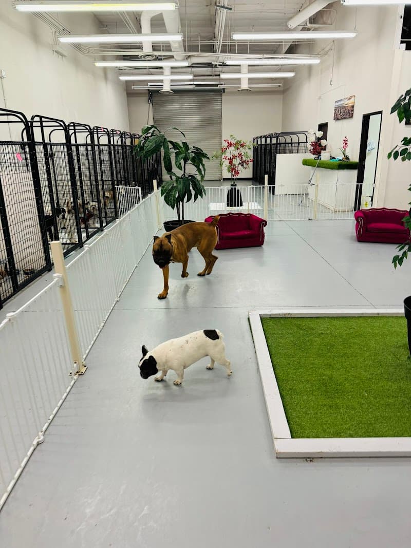 Z Pet Hotels photo 2