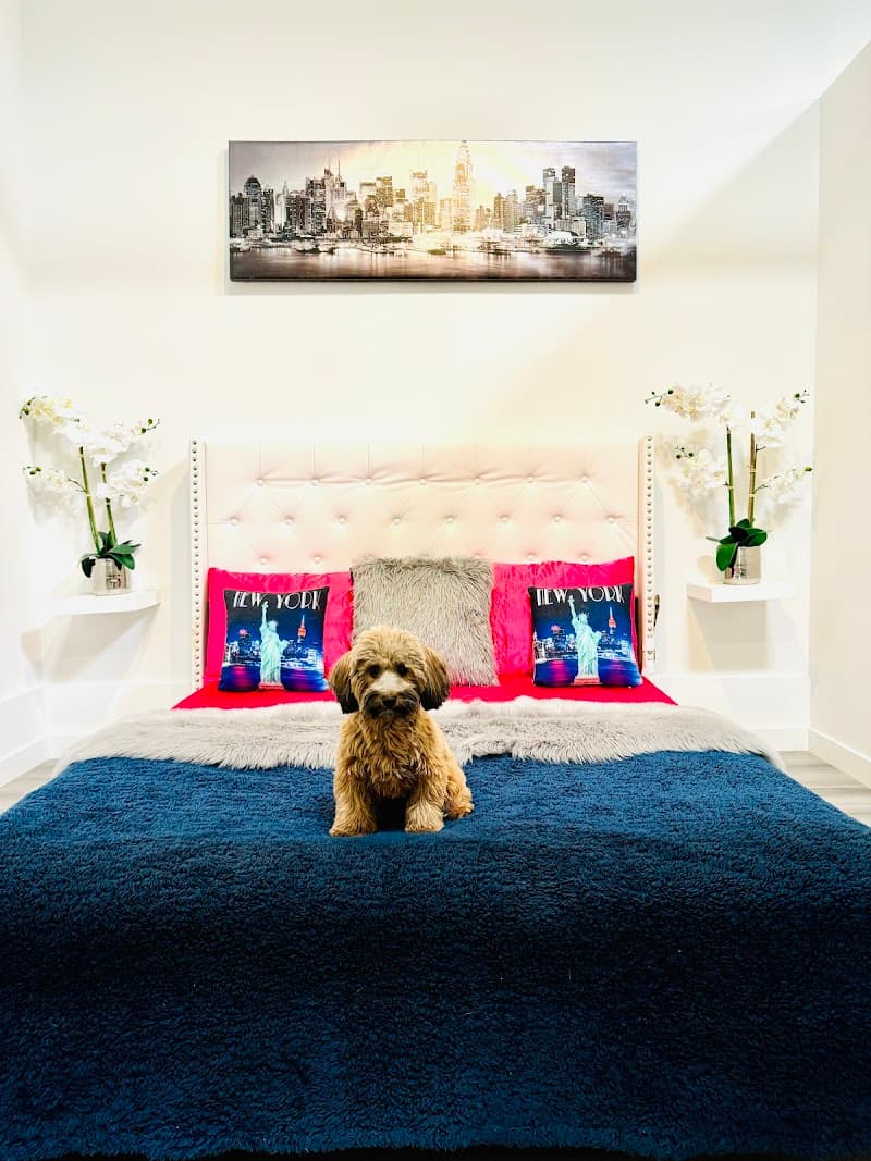 Z Pet Hotels photo 3