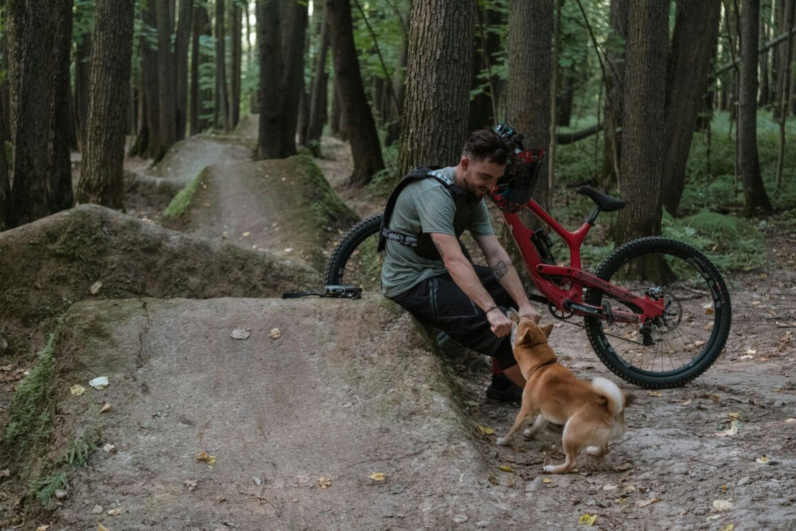 travel with dog on bike