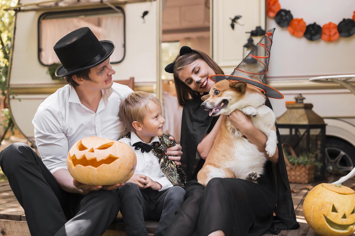 Where to Go Trick-or-Treating This Halloween - Chicago Parent