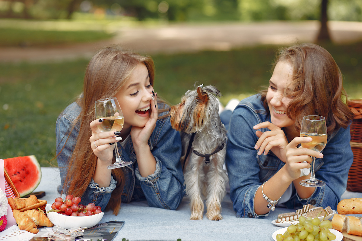 Dogs are girls best friends! Water Bottle by cafelab