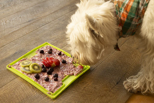 What to Put on a Dog Lick Mat? 17 Easy and Healthy Lick Mat Recipe