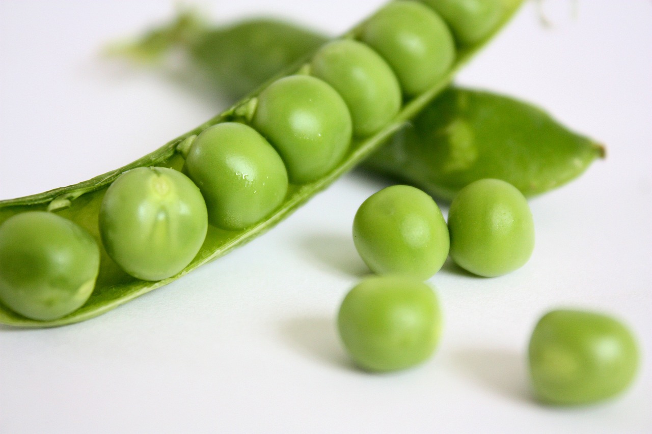 Green pea for sales dogs