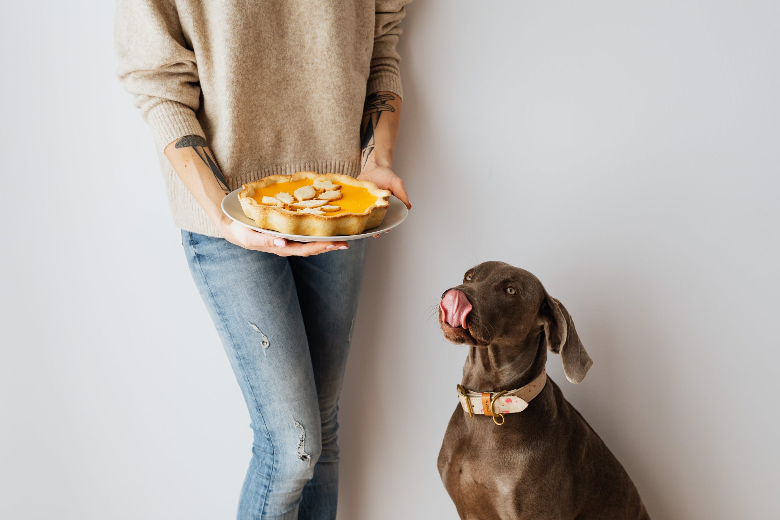 Can too much pumpkin cause diarrhea clearance in dogs