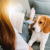 woman reading a book while dog lays on her lap